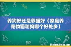 家庭养宠物猫和狗哪个好处多 养狗好还是养猫好