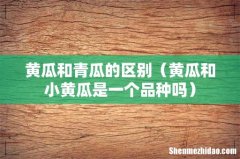 黄瓜和小黄瓜是一个品种吗 黄瓜和青瓜的区别