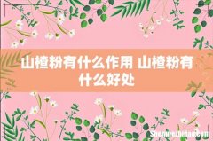 山楂粉有什么作用 山楂粉有什么好处