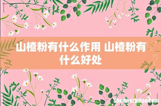 山楂粉有什么作用 山楂粉有什么好处
