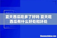 夏天西瓜吃多了好吗 夏天吃西瓜有什么好处和坏处