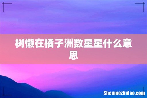 树懒在橘子洲数星星什么意思