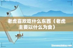 老虎主要以什么为食 老虎喜欢吃什么东西
