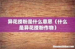 什么是异花授粉作物 异花授粉是什么意思