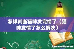 猫咪发情了怎么解决 怎样判断猫咪发完情了