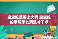 宝宝吃草莓上火吗 宝宝吃的草莓怎么清洗才干净