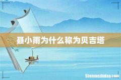 聂小雨为什么称为贝吉塔