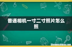 普通相机一寸二寸照片怎么照