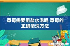 草莓需要用盐水泡吗 草莓的正确清洗方法