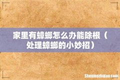 处理蟑螂的小妙招 家里有蟑螂怎么办能除根