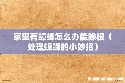 处理蟑螂的小妙招 家里有蟑螂怎么办能除根