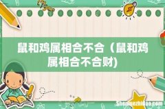 鼠和鸡属相合不合（鼠和鸡属相合不合财)