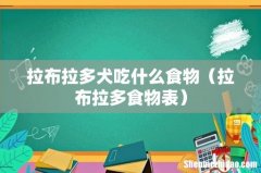 拉布拉多食物表 拉布拉多犬吃什么食物