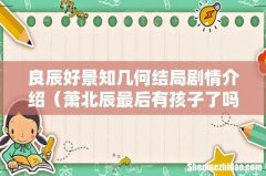 萧北辰最后有孩子了吗 良辰好景知几何结局剧情介绍
