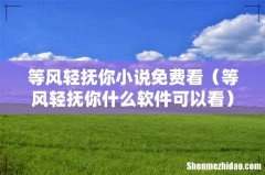 等风轻抚你什么软件可以看 等风轻抚你小说免费看