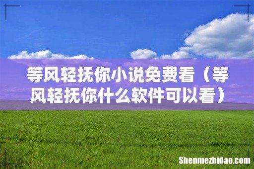 等风轻抚你什么软件可以看 等风轻抚你小说免费看
