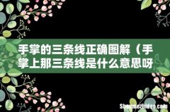 手掌上那三条线是什么意思呀 手掌的三条线正确图解
