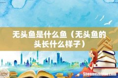 无头鱼的头长什么样子 无头鱼是什么鱼
