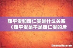 薛平贵是不是薛仁贵的后代 薛平贵和薛仁贵是什么关系