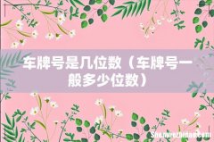 车牌号一般多少位数 车牌号是几位数