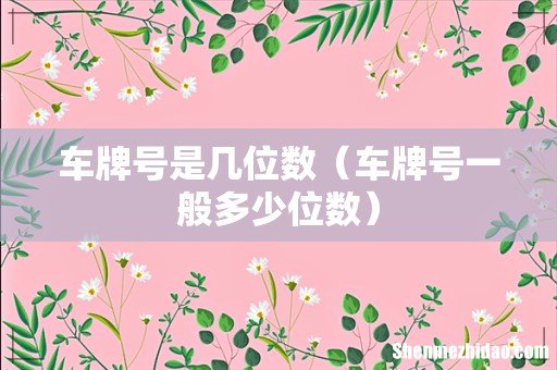 车牌号一般多少位数 车牌号是几位数