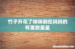 竹子开花了咪咪躺在妈妈的怀里数星星