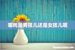 哪吒是男孩儿还是女孩儿呢