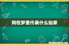 狗在梦里代表什么仙家
