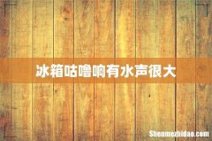 冰箱咕噜响有水声很大