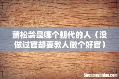 没做过官却要教人做个好官 蒲松龄是哪个朝代的人