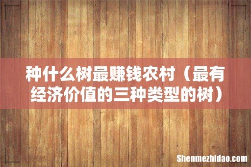 最有经济价值的三种类型的树 种什么树最赚钱农村