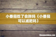 小番茄可以减肥吗 小番茄吃了会胖吗