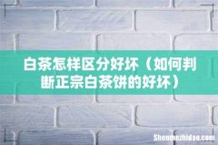 如何判断正宗白茶饼的好坏 白茶怎样区分好坏
