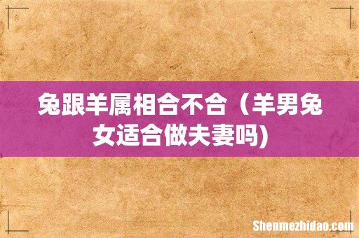 兔跟羊属相合不合(羊男兔女适合做夫妻吗)