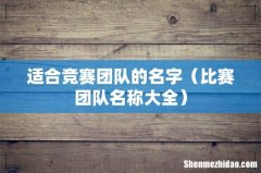 比赛团队名称大全 适合竞赛团队的名字