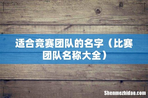 比赛团队名称大全 适合竞赛团队的名字