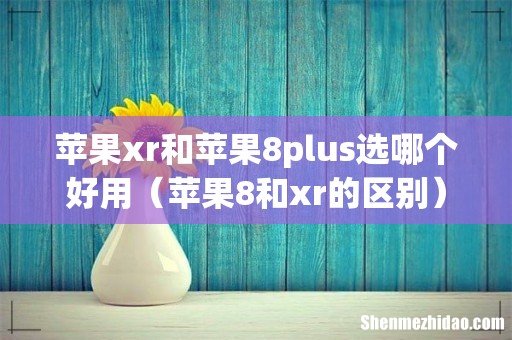 苹果8和xr的区别 苹果xr和苹果8plus选哪个好用