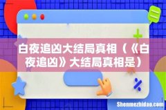 《白夜追凶》大结局真相是 白夜追凶大结局真相