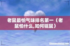 老鼠怕什么,如何驱鼠 老鼠最怕气味排名第一