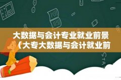 大专大数据与会计就业前景 大数据与会计专业就业前景