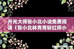 张小北林青青斩红师小说名字 开光大师张小北小说免费阅读