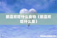 鹅喜欢吃什么菜 鹅喜欢吃什么食物