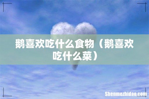 鹅喜欢吃什么菜 鹅喜欢吃什么食物