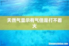 天然气显示有气但是打不着火