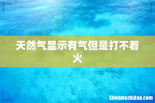 天然气显示有气但是打不着火