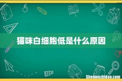 猫咪白细胞低是什么原因