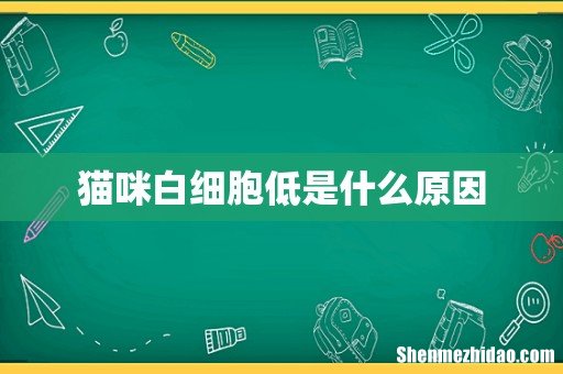 猫咪白细胞低是什么原因