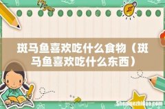斑马鱼喜欢吃什么东西 斑马鱼喜欢吃什么食物