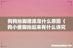 狗小便脚抬起来有什么讲究 狗狗抬脚撒尿是什么原因