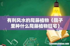 院子里种什么爬藤植物旺宅 有利风水的爬藤植物